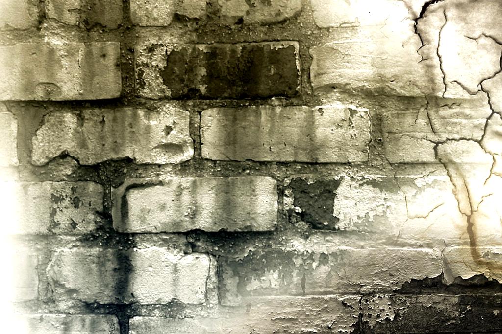 Cookies on a digital screen representing website cookie policy